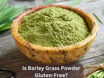 Does Barley Grass Powder Have Gluten?